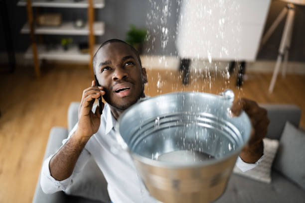 Best Mold removal after water damage  in Leslie, MI