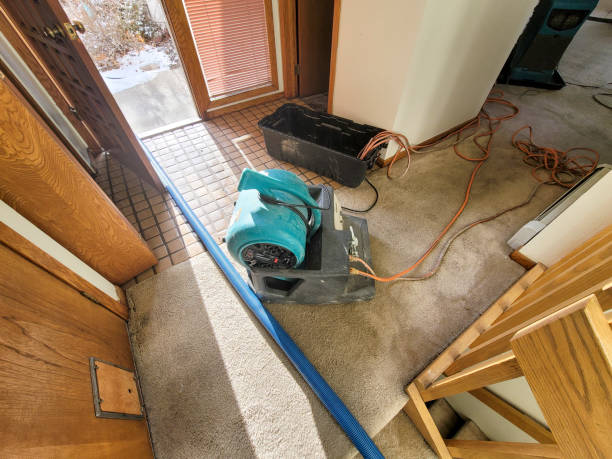 Best Flood damage cleanup  in Leslie, MI