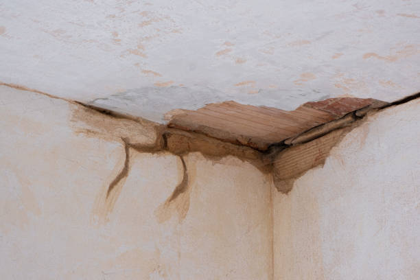Best Water damage restoration mold remediation  in Leslie, MI