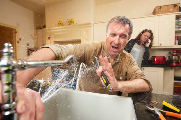 Best Carpet water damage restoration  in Leslie, MI